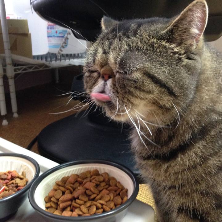 Ccf984f0 2b09 4ef9 81e2 f0a006be7f12