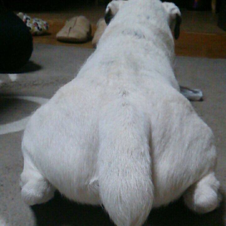 Ccfa3adf bfb7 4dfe 8fb5 b85069f49ecf