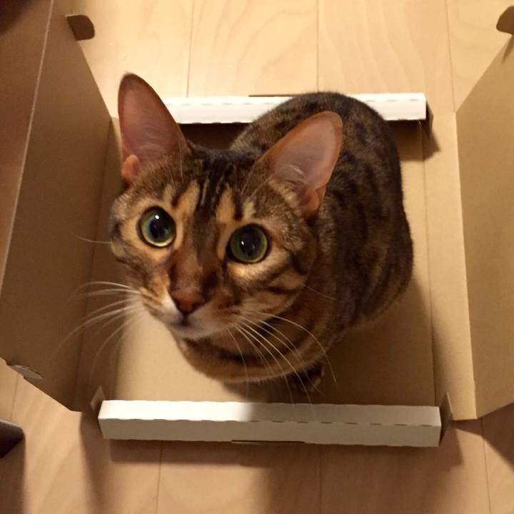 Ccfb0b87 4ec3 4e27 9037 84982741c5a0