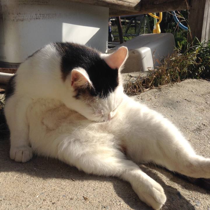 Ccfb30b6 be3c 429c 80ba ff0b7b3b5486