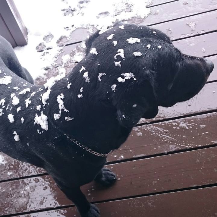 Ccfb9297 995b 40ea 9a10 488404c404c5