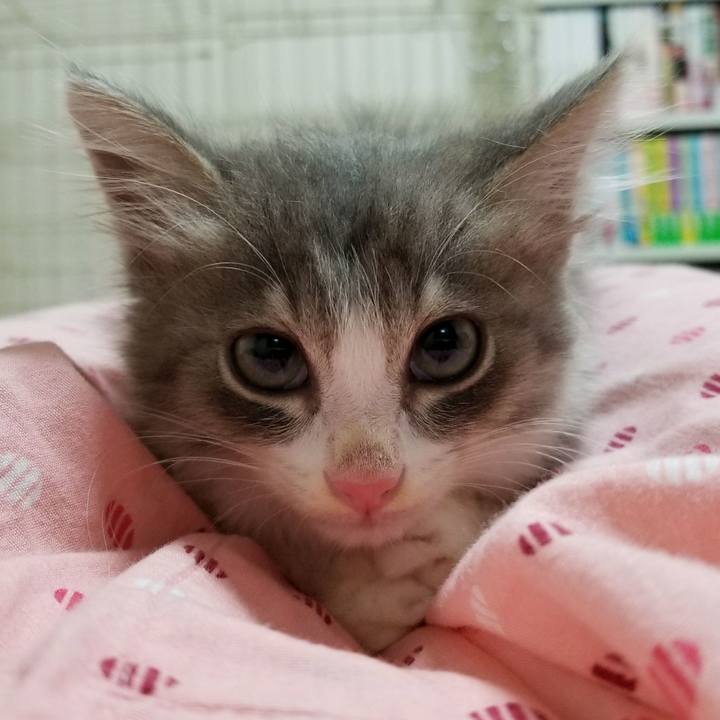 Ccfd7781 b066 4c77 bc61 2d2194f50e8b