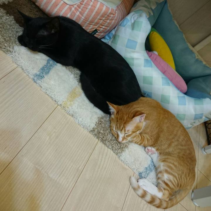 Ccfdc6b6 e462 4a33 a593 9949770c159a