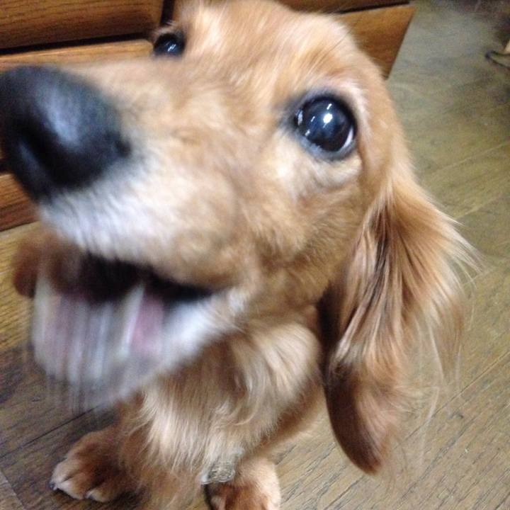 Ccfee289 611f 49c8 b479 107e2668d650