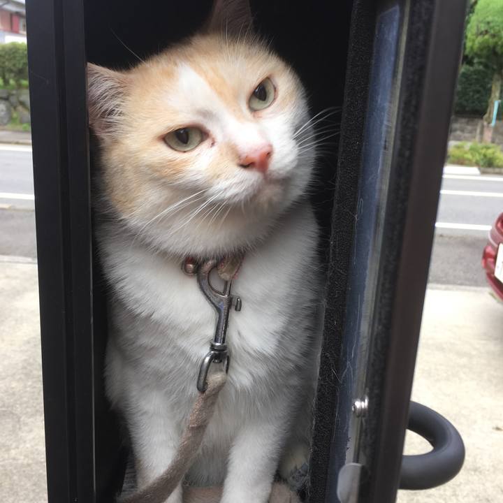 Ccffe0fc 29e3 4327 9ee0 a184e0cc0d8f