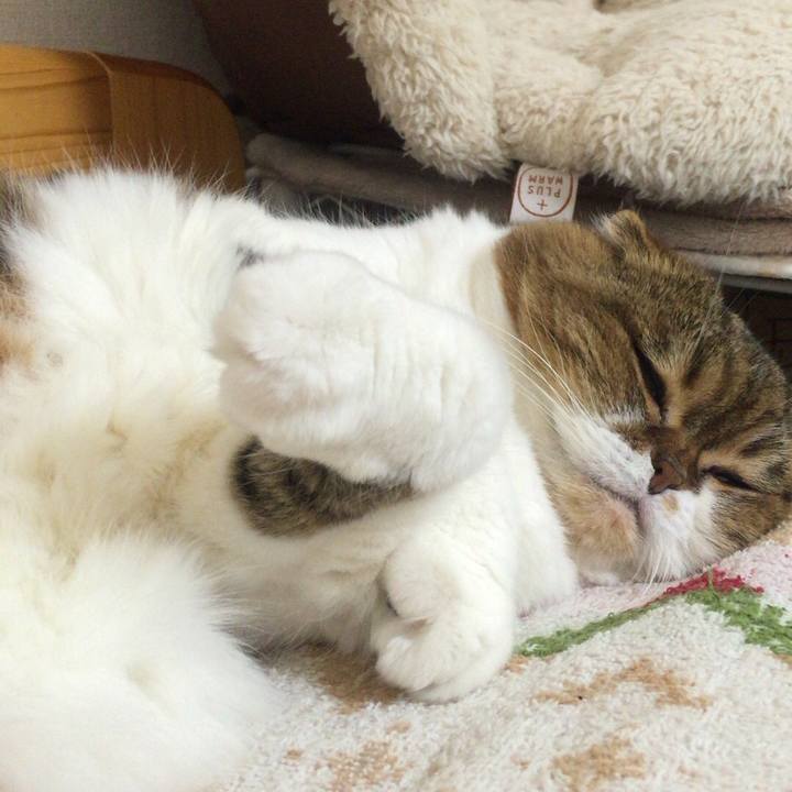 Cd002523 0be6 46e9 9e1f c7c8dbaf79c3