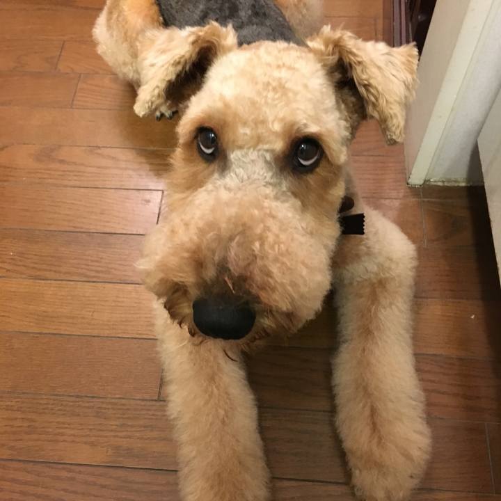 Cd002dae f3ea 4a2b 93f6 513d8179df97