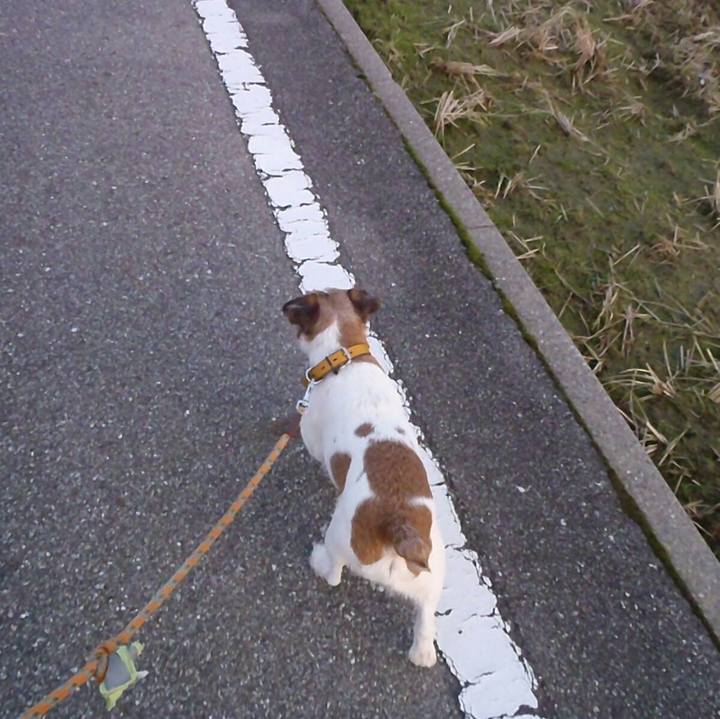 Cd00f58a 3c4b 494c aa0a 19f7d302aa03