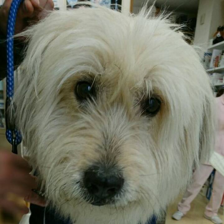 Cd01cec6 45f6 46eb 8dbd 672f768f3682