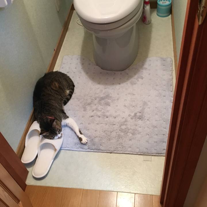 Cd01ebf6 2044 42c1 ae69 998f0c48b034