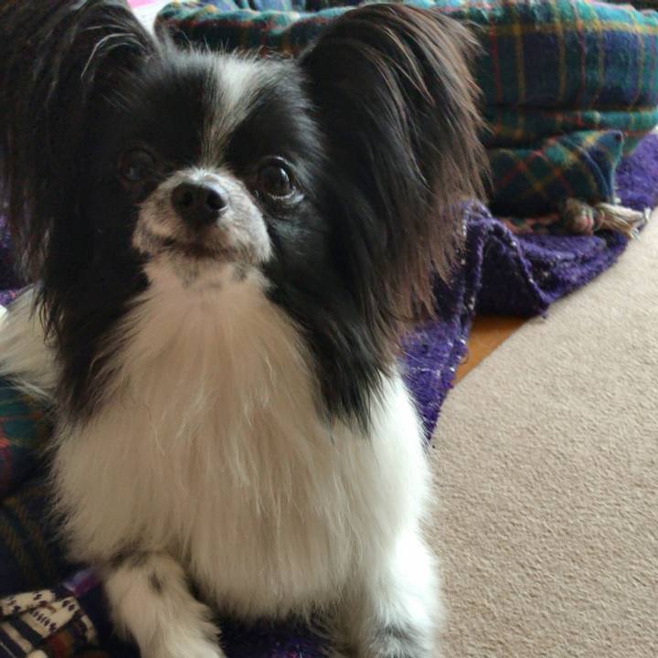 Cd020220 2b23 4f7a ae6e 58c8c9bc6721