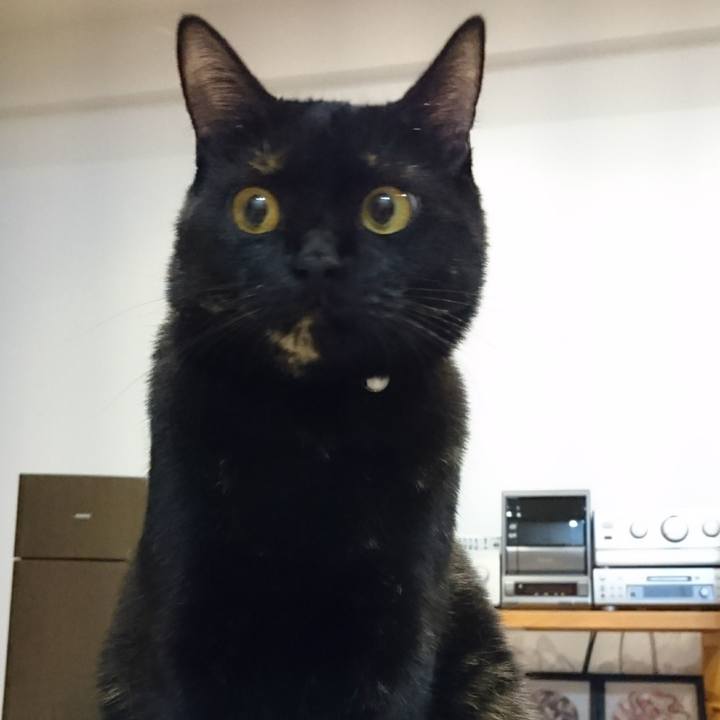 Cd027e42 eb46 4d7d a868 034488d03fc7