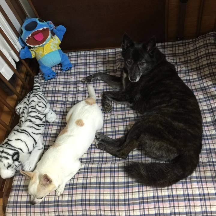 Cd028f42 d1c5 4b49 bc5a 2f328573bdbd