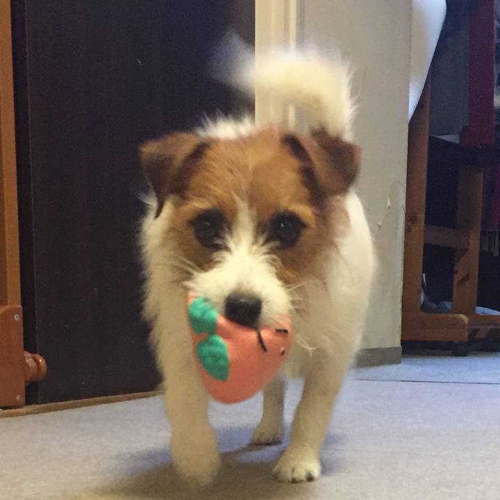 Cd037f19 5fd8 454c ae36 4d1f163f1238