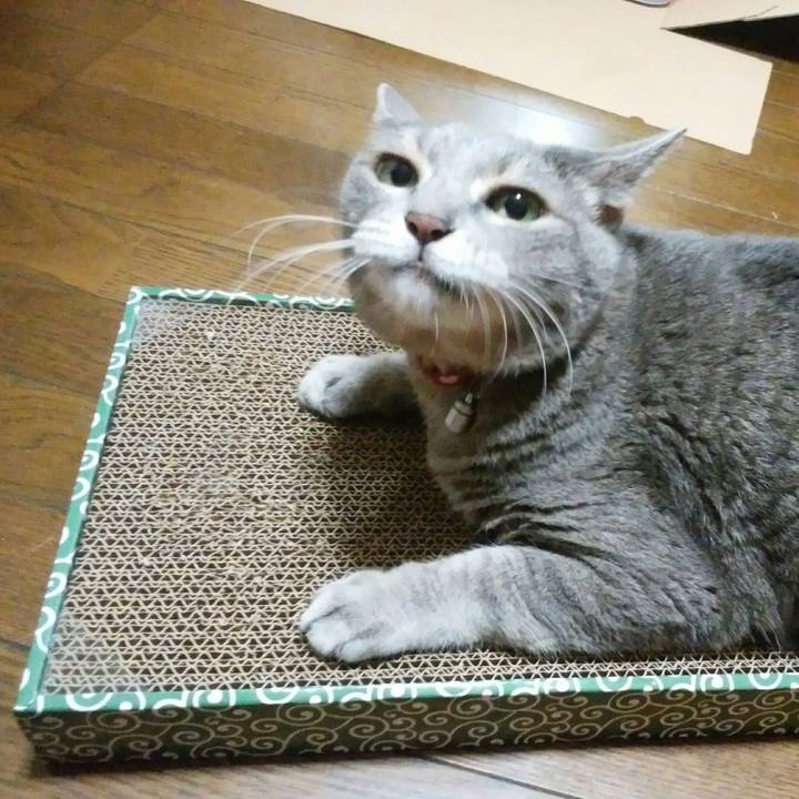 Cd03b229 ac04 4ff9 8307 cc3ee581cc90