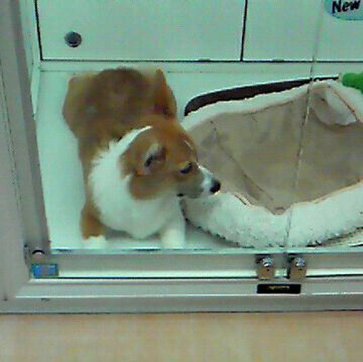 Cd03fef6 694f 4c2a a413 1e748a21f2c5