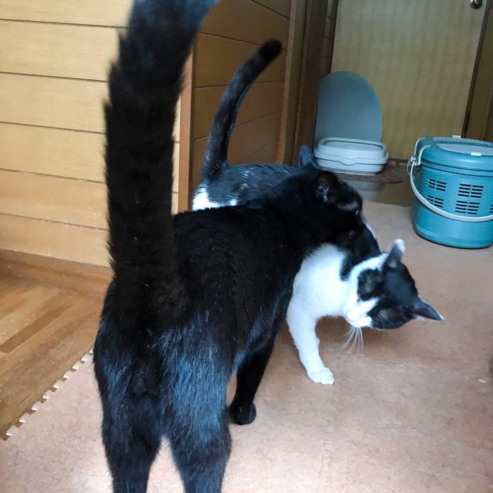 Cd046e4b d1fe 46fc 982a e2416a6d2c2c