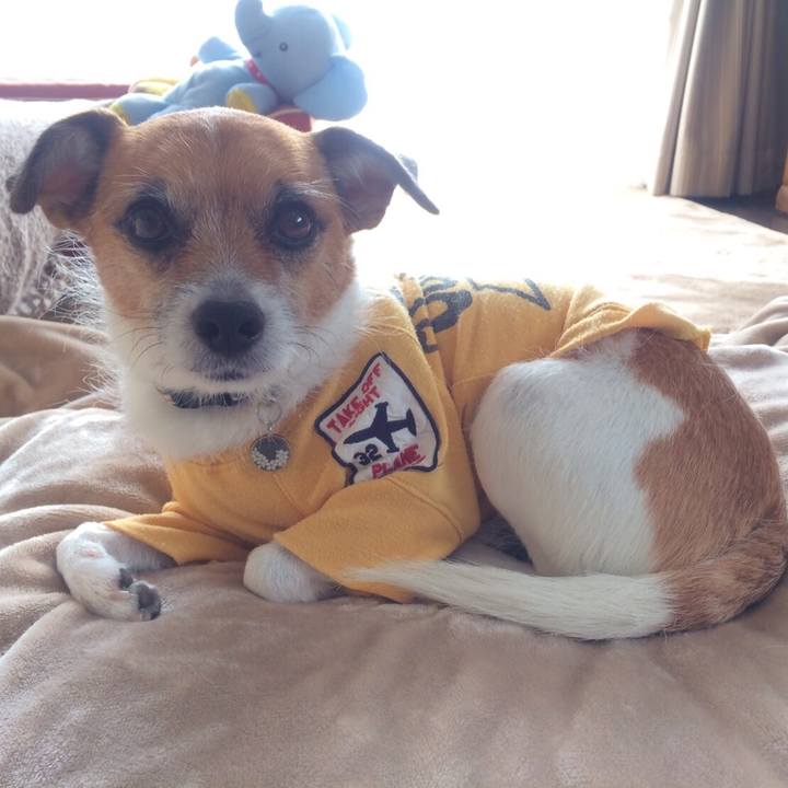 Cd04f09e 05ad 4f2f a064 8f3a5335338a