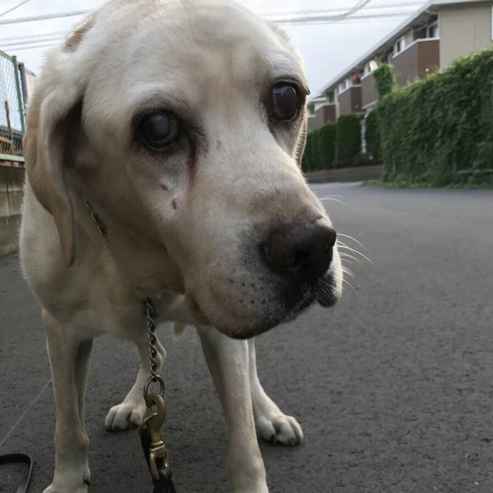 Cd051b95 d8d0 425e 82ad 554674dd2a21