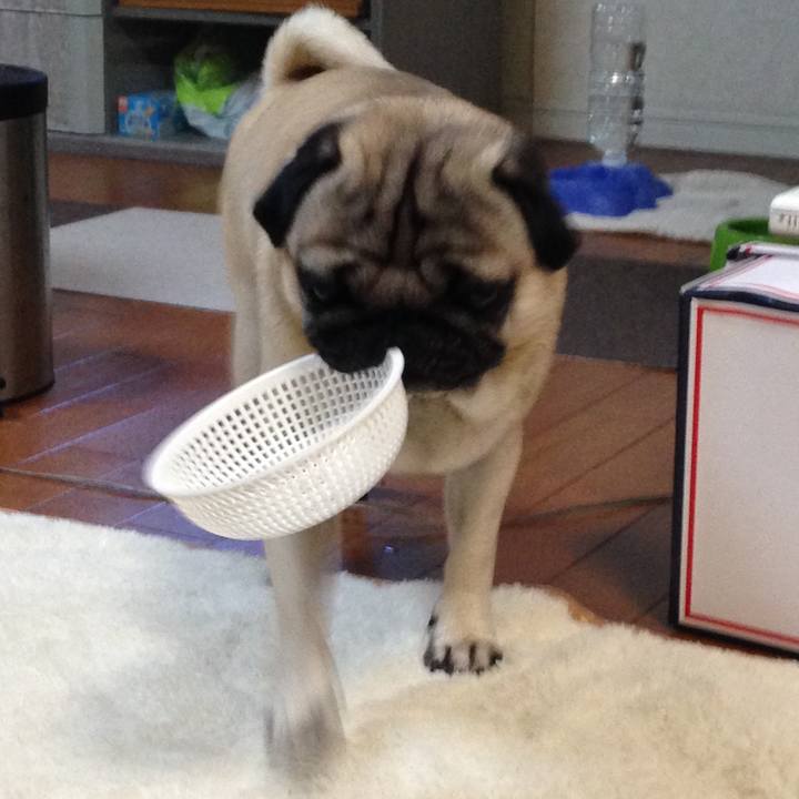 Cd055594 cba3 4963 a6dd 7dff72f6e795