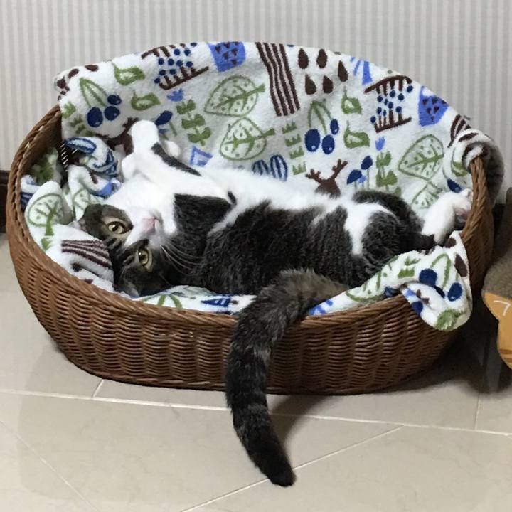 Cd05849a 569d 43ed b937 7cbe1cb30fb8