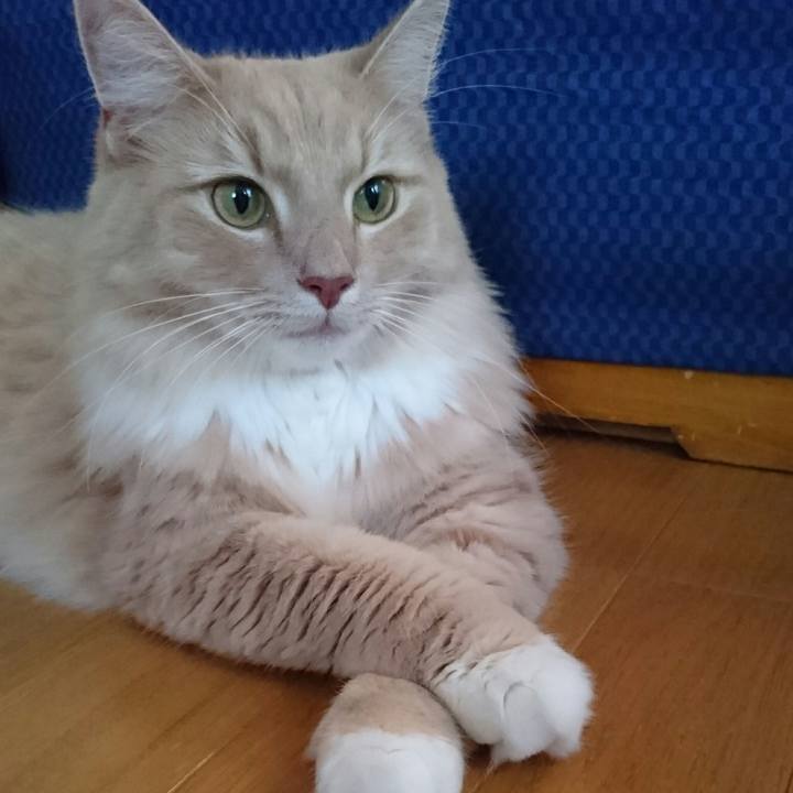 Cd059adc bd74 4944 b2b2 e05840eb0c5c