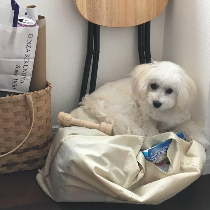 Cd05f1c5 f72d 49ec b168 e81fd3c9efc6