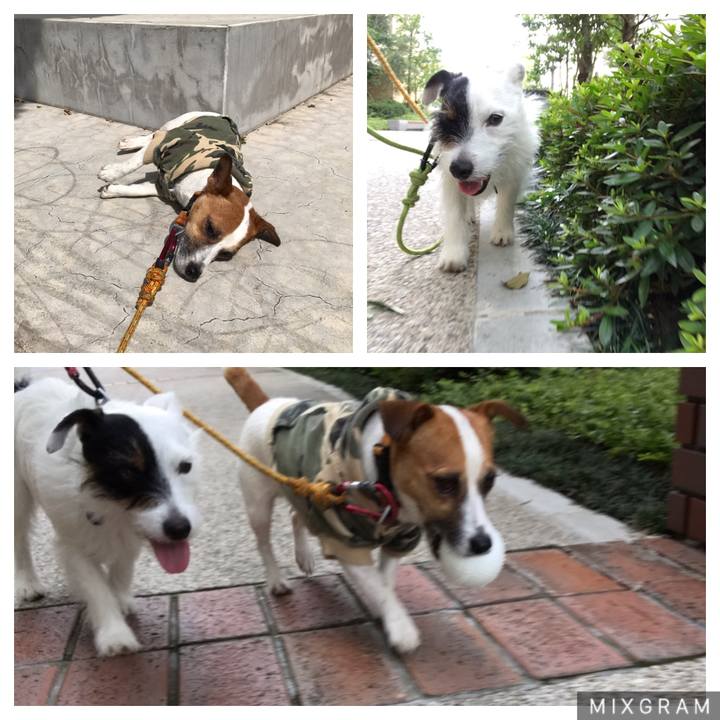 Cd064335 8a61 422d a0b7 2a0d260ef489