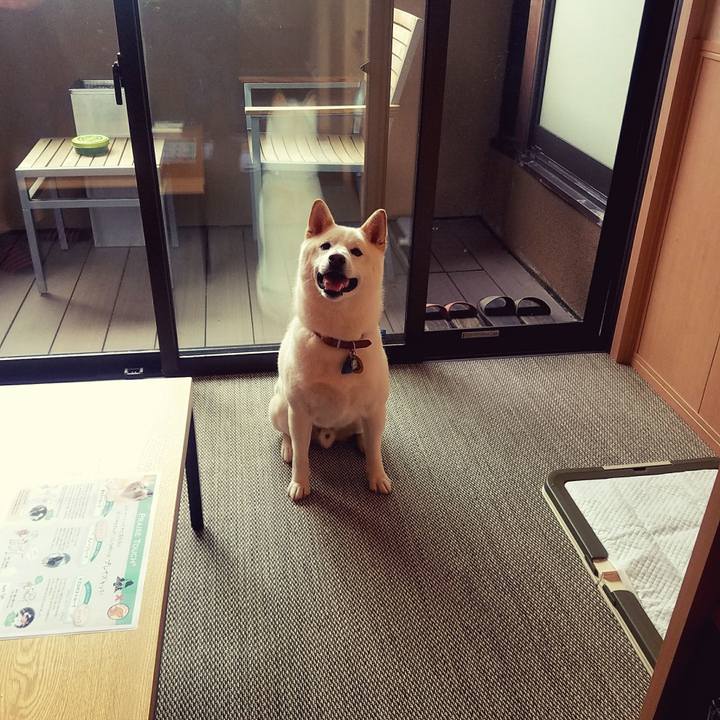 Cd06d764 0fd2 4c42 b596 efa6f47795fd