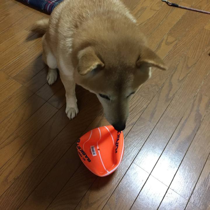 Cd07310e f2f5 468b a260 85caa26b3bf8