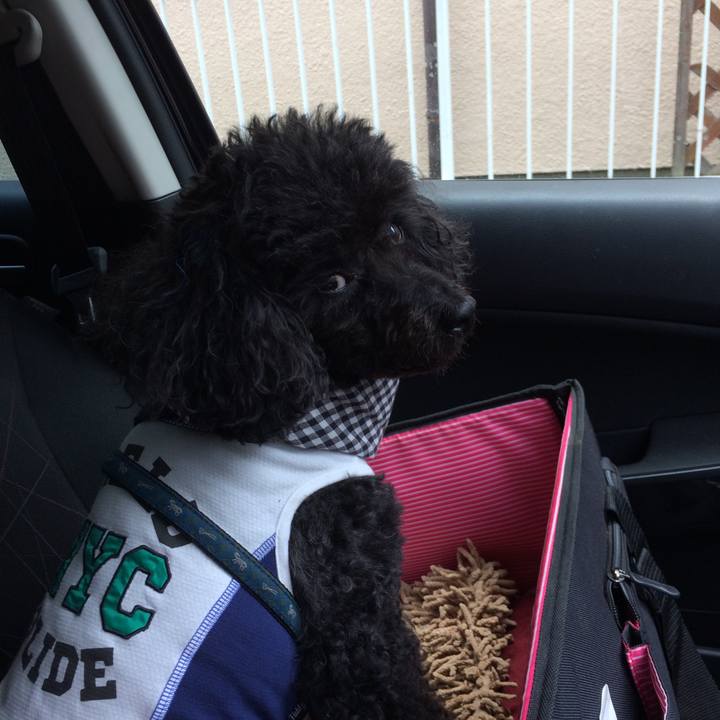 Cd0752b4 8040 4628 a4ae 79d3e4b02d1f