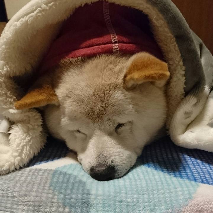 Cd077507 0bfa 42f2 8e26 1b2455b0e075