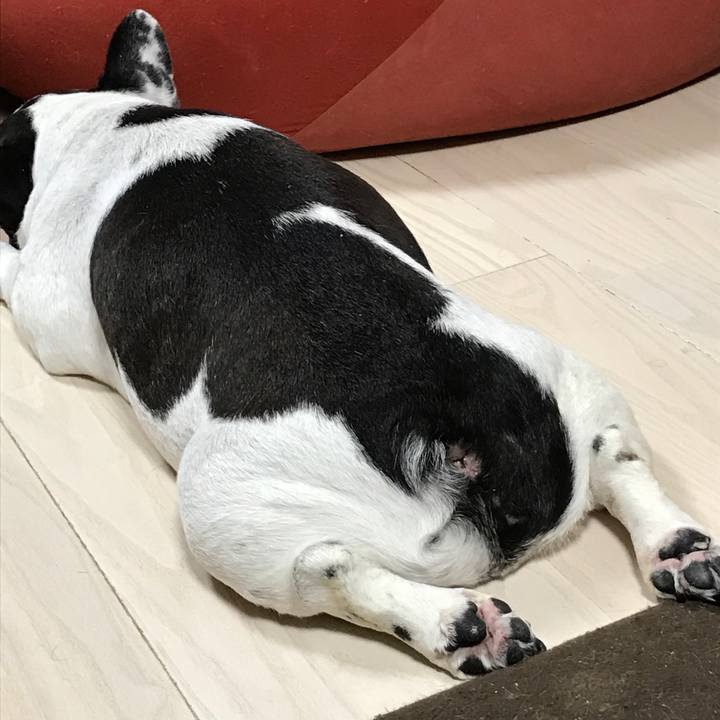 Cd07893e a4e9 42db 8442 b51fea686205