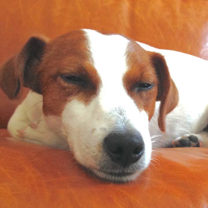 Cd07926f 2156 408c 8918 fa68a734cc76