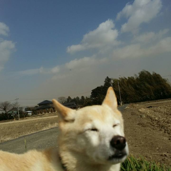 Cd07aa7b 01c0 4530 8b0f 4ad4c2ea7fc9