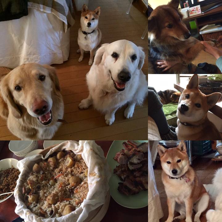 Cd088b60 7c8e 413e b43c 64e53b2abb60