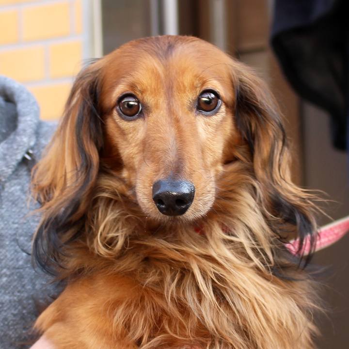 Cd08e5c1 6263 4e65 bafe a33022e32d43