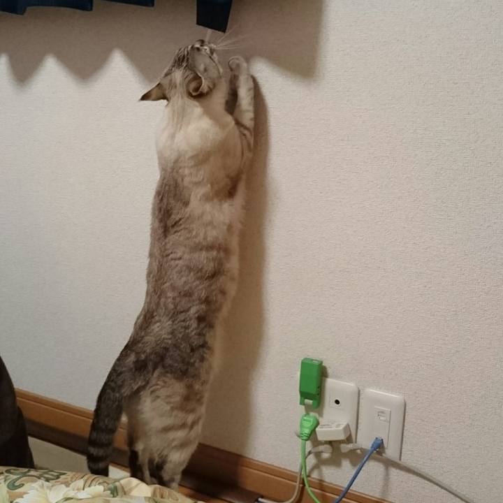 Cd08ee72 6e71 498a 9021 353091deff1a