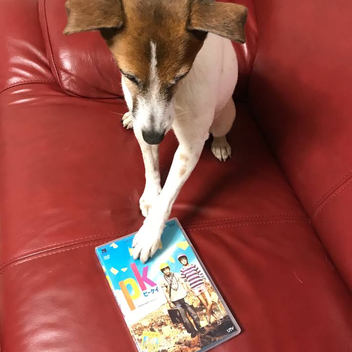 Cd09caad d58f 4f6a ad6d e17962bbf91d