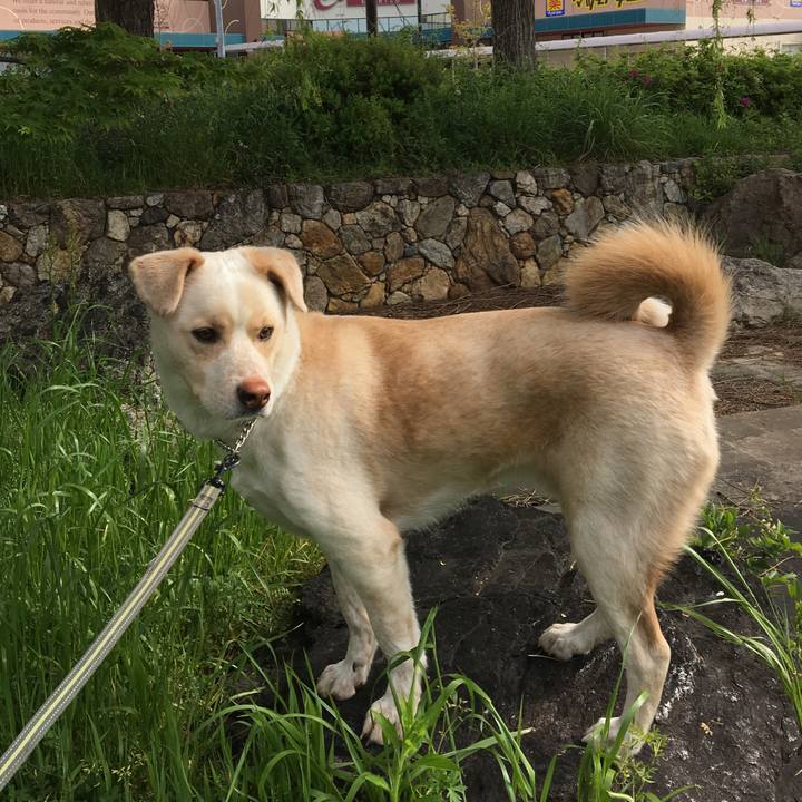 Cd0a57c9 a7a2 49cb b2de ab0297ede2de