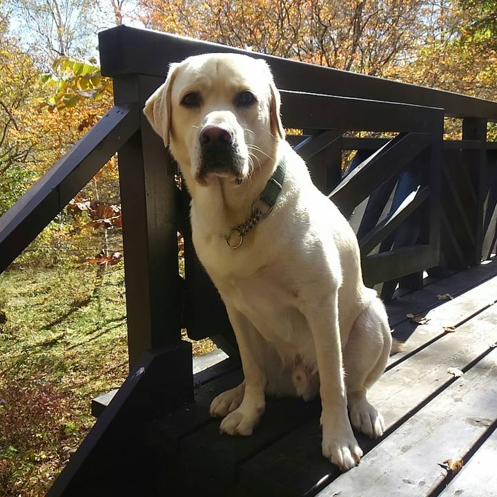 Cd0aee2c 0837 4d49 8f73 3715b826c02c