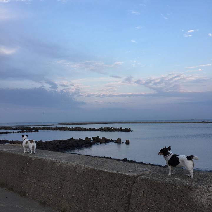 Cd0c981f ffa3 4b32 a9f8 d053bb81f498