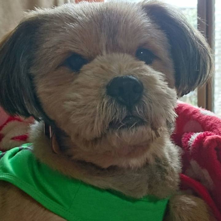 Cd0d34ee 6592 4388 b477 2ab952f604f8