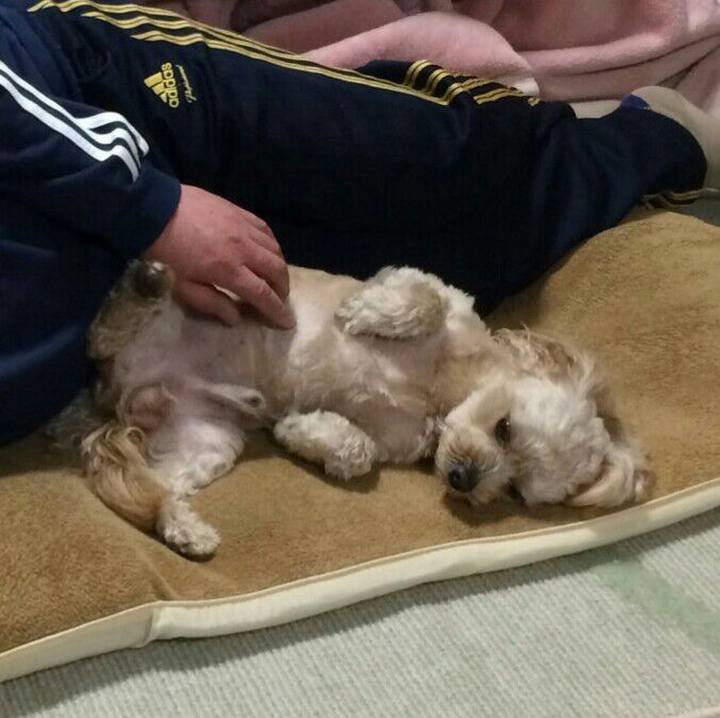 Cd0ee756 e3c7 46e1 aee2 7cdd53d0759d