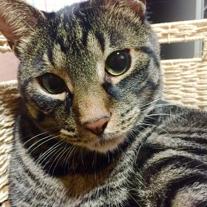 Cd0f7b3f bad5 4a73 bded 31048679adfa