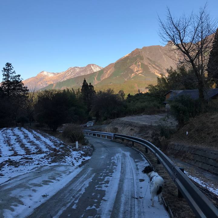 Cd10276f d284 4c90 b10c 786d3de59433