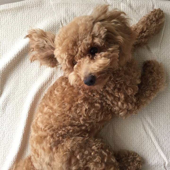 Cd105f19 78e2 47a5 8ea7 b3b6136321c8