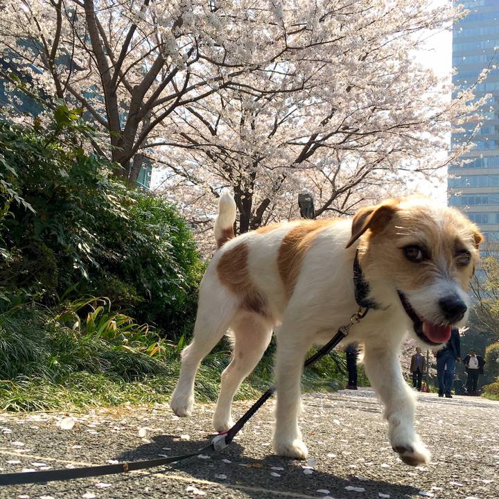 Cd106406 560d 4dab a2e5 647aaaf62e70