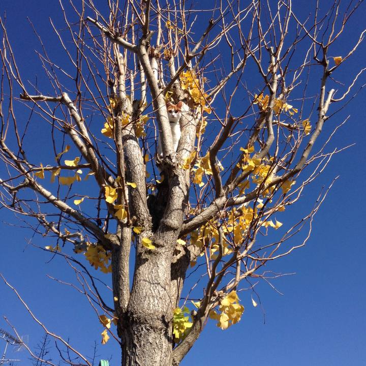 Cd116f5d 5ae3 4195 a618 05a54aa4d895