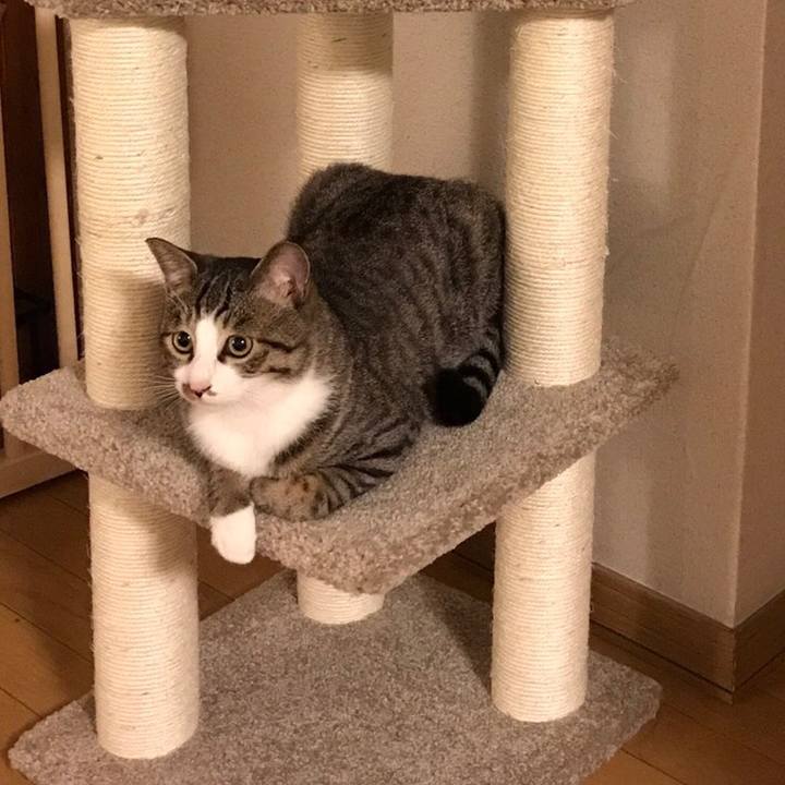 Cd117971 d91c 4d02 a2b1 cfbfeabbeafb